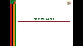 Neonatal Sepsis [upl. by Eynttirb]