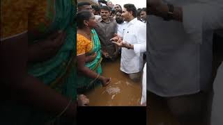 ys Jagan Vijayawada rain 🌧️ vijayawada trending youtubeshorts [upl. by Romelle]