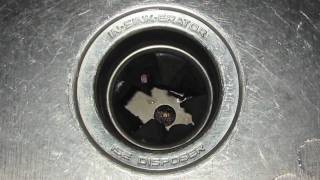 Troubleshooting Garbage Disposals [upl. by Keithley]