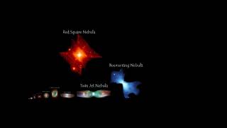 Nebula Size Comparison ft Reigarw Comparisons and Universe UA [upl. by Berte783]