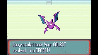 How to get Crobat in Pokemon Ruby  Sapphire  Emerald  tips to get happiness fast [upl. by Naahsar]