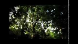 Philippine High School for the Arts PHSA promotional video [upl. by Alexine]