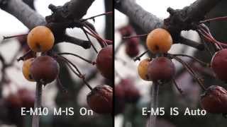 Olympus OMD EM10 vs OMD EM5 3axis stabilisation compared [upl. by Nyvek324]