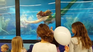 Meerjungfraushow im Aquarium auf Messe Nürnberg von außen [upl. by Islaen450]