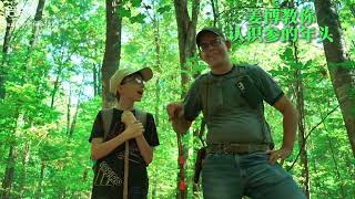 Ginseng hunting in Northern Wisconsin Sept 2024 [upl. by Anaul]