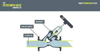 Peter Smith Valves  How a Double Regulating Valve Operates [upl. by Yerxa708]