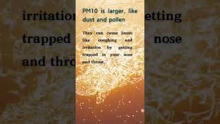 PM25 vs PM10 What’s the Real Difference and Why It Matters for Your Health [upl. by Lamar]