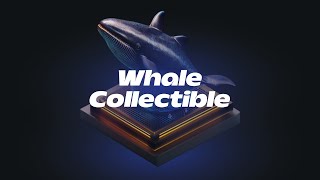 Swim with the Whales Understanding Cryptos Big Players [upl. by Novia]