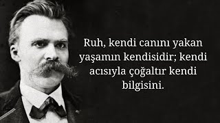 Ayaktakımı üzerine  Friedrich Nietzsche [upl. by Llahsram913]