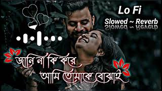 Jani Na Ki Kore Ami Tomake Bojhai Lyrics  জানি না কি করে আমি তোমাকে বোঝাই  SlowedReverb  Lofi [upl. by Darce]