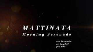 MATTINATA Morning Serenade  accordion [upl. by Konopka]