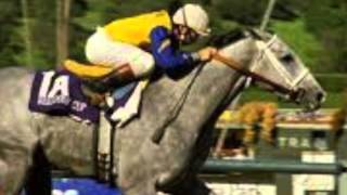 Bullet Train presents Horse of the Year Newsreel Family Ties [upl. by Smitty]