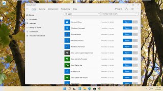 Como instalar ferramentas do Graphics Tools no Windows 11 Tutorial [upl. by Susannah]