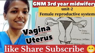 GNM 3rd year Midwifery unit 2 Female reproductive system Vagina nd Uterusgnm online classes [upl. by Agee]