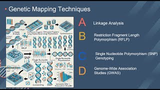 ECOM 6349  Student Participations  Genetic Mapping [upl. by Abdulla]