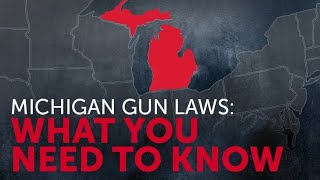 What Is Brandishing a Firearm in Public According to Michigan Gun Laws [upl. by Nahshon]