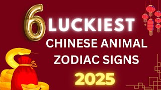 6 Luckiest Chinese Animal Zodiac Signs in 2025 [upl. by Ahsiled288]