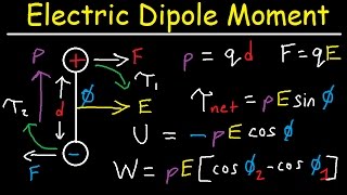 Electric Dipole Moment Force Torque Potential Energy Work Electric Field Physics [upl. by Wyne]