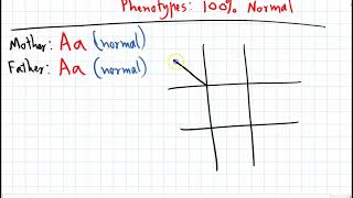 Analysing Punnett Squares [upl. by Fast480]