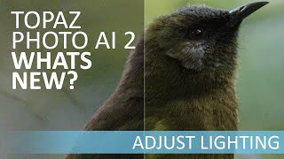 Adjust Lighting in Topaz Photo AI 2 [upl. by Buckie537]