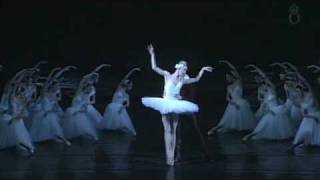 Swan Lake by Tjajkovskij  The Royal Swedish Ballet [upl. by Yenffit]