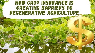 Is Crop Insurance Stopping Regenerative Agriculture [upl. by Aisinut]