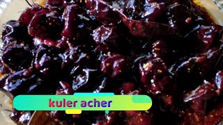 Kuler Achar Recipe  Borui Er Achar Recipe  Achar Recipe [upl. by Acissj341]