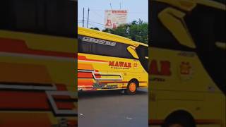 Deowoo business class bus service [upl. by Yahsal]