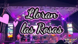 Lloran las Rosas 🌹 La Sombra de Aguilares [upl. by Fai]