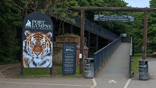 Port Lympne  Safari [upl. by Htezil866]