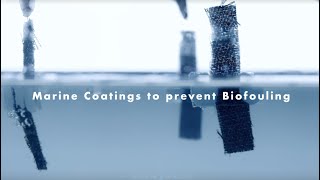 Marine Coatings to Prevent Biofouling [upl. by Isayg]