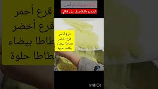 Couscous international music اكسبلور explore طبخ travel food [upl. by Asena]