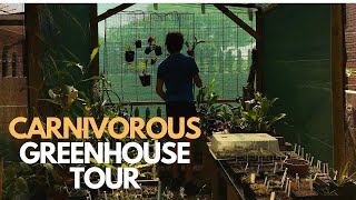 Cape Carnivores GreenhouseTour 2024 [upl. by Nyletac]