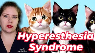 Vet Advice on Identifying and Treating Feline Hyperesthesia Syndrome [upl. by Ronalda]