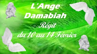 N°65 ANGE DAMABIAH REGIT DU 10 AU 14 FEVRIER [upl. by Enirehtahc16]