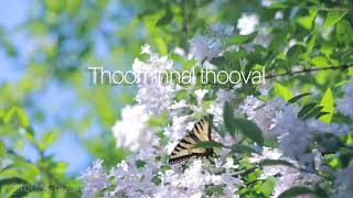 Thoominnal thooval slowed songmalayalam songslovesongs [upl. by Kilan]