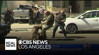 Caught On Video Police K9 Attacked By Pit Bull In Anaheim [upl. by Adnala675]