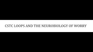 STAHLS  CH 9  PART 3  CSTC LOOPS AND THE NEUROBIOLOGY OF WORRY  psychiatrypsychopharmacology [upl. by Sibell764]