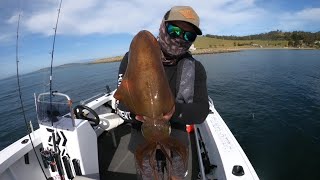 Tasmania Australia Squid Fishing on 460 Renegade SC [upl. by Apollo]