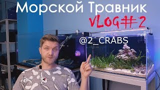 Морской травник VLOG2 [upl. by Ajtak]