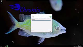 ChromisPos 150  225205  Windows 10 Installation [upl. by Nylsirk]