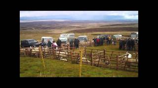 075 Meadows of Muker Gunnerside Muker Keld and the Tan Hill Inn Yorkshire Dales 2017 [upl. by Papagena]