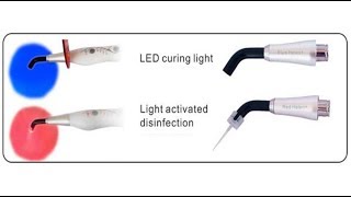 2 In 1 Blue LightDental LED Curing Light Red Light Activated Disinfection Root Canal Treatment [upl. by Enitsuj]