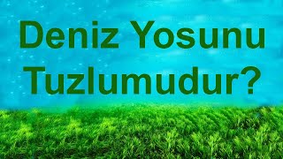 Gübre Analizi Nasıl Yapılır Deniz Yosunu Gübresi [upl. by Ielhsa]