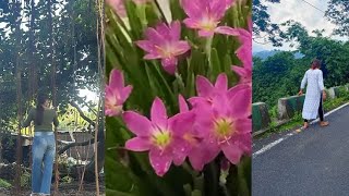 my home tour GardenSiliguriviral video [upl. by Ebocaj]