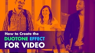 Duotone effect for Video [upl. by Emiatej]