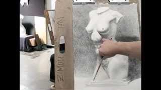 Zimou Tan  Art  Step by step how to draw torso with crosshatching drawing demo [upl. by Burkhard8]