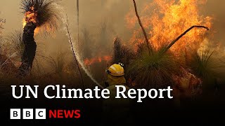 UN climate report Scientists release ‘survival guide’ to avert climate disaster  BBC News [upl. by Dill306]