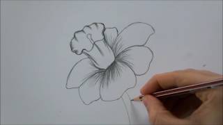 How To Draw a Flower step by step In 6 Minutes [upl. by Oilcareh]