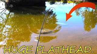 MONSTER FLATHEAD EPIC BATTLE ON LIGHT TACKLE [upl. by Nhoj]